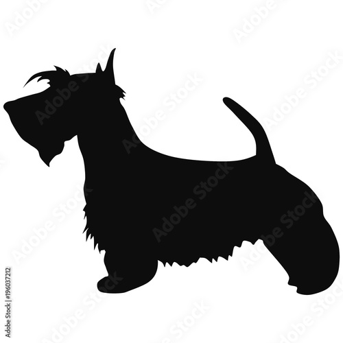 Black silhouette of a dog. Illustration of Scotch terrier