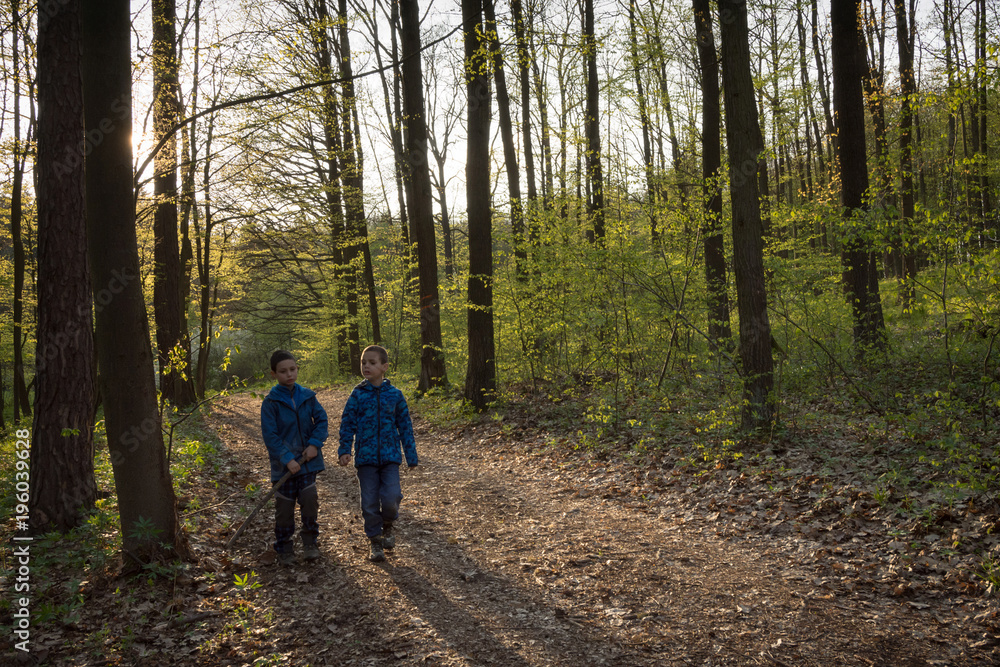 Children walking in a spring forest Children walking in a spring forest