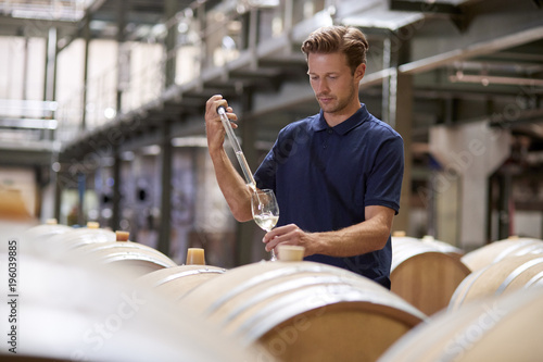 Young man testing wine in a wine factory warehouse photo