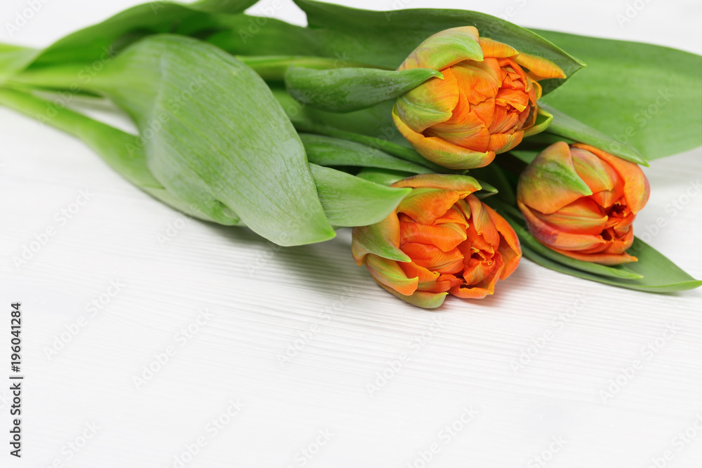 Bouquet of fresh orange tulip flowers on a light wood background with copy space. Selective focus. Bouquet of fresh orange tulip flowers on a light wood background with copy space. Selective focus.
