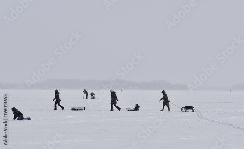 Women pulling sledges on the frozen sea, Espoo, Finland