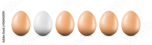 Row of Eggs