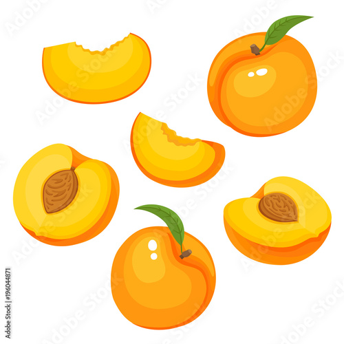 Bright vector set of colorful juicy peach isolated on white.