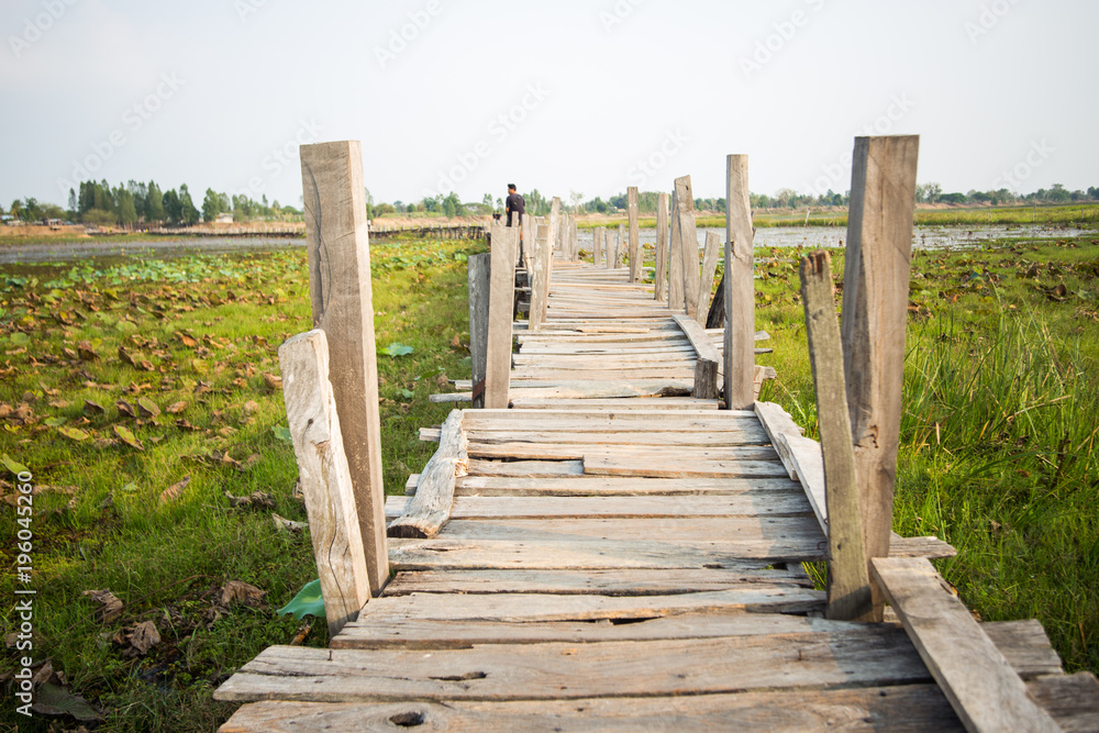 Fototapeta premium wood bridge cross a river