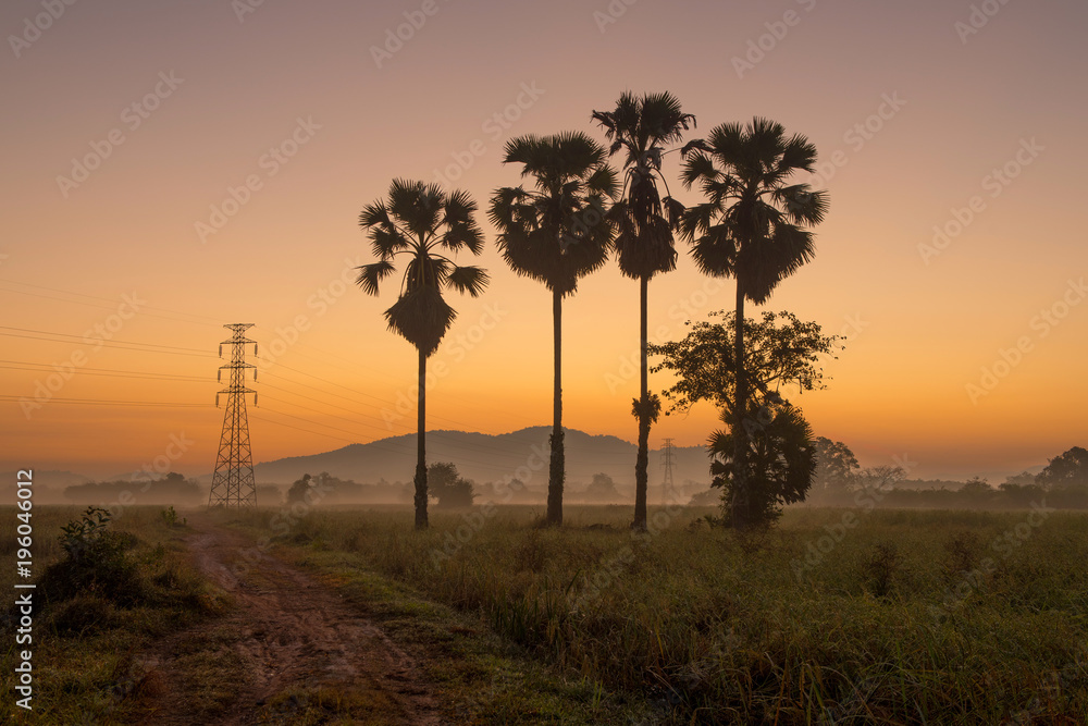 Silhouette of palm tree on field with colorful sunrise