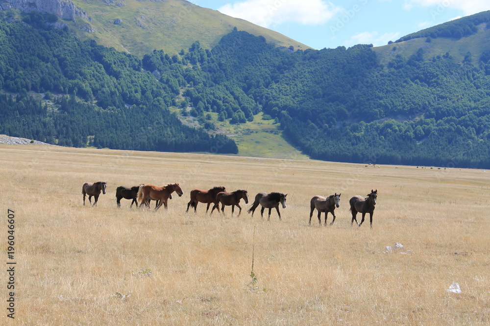 Obraz premium campo imperatore
