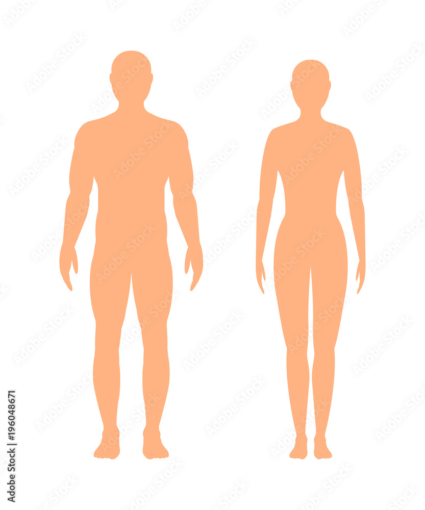 Male and female silhouette on white background, vector. Male and female silhouette on white background, vector.