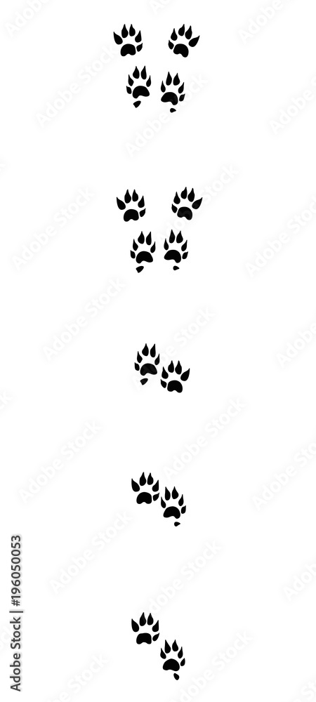 Marten tracks. Typical footprints with long claws - isolated black icon vector illustration on white background.