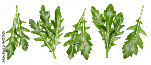 Arugula leaves collection