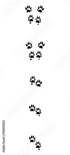 Marten tracks. Typical footprints with long claws - isolated black icon vector illustration on white background.