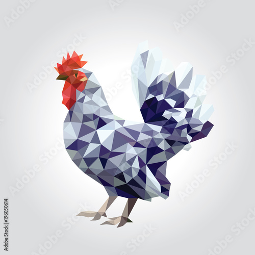 One rooster with colorful feather low polygon standing isolated on white background, red face and cockscomb, yellow beak, bright orange wings, long grey tail. Chicken geometric design illustration.