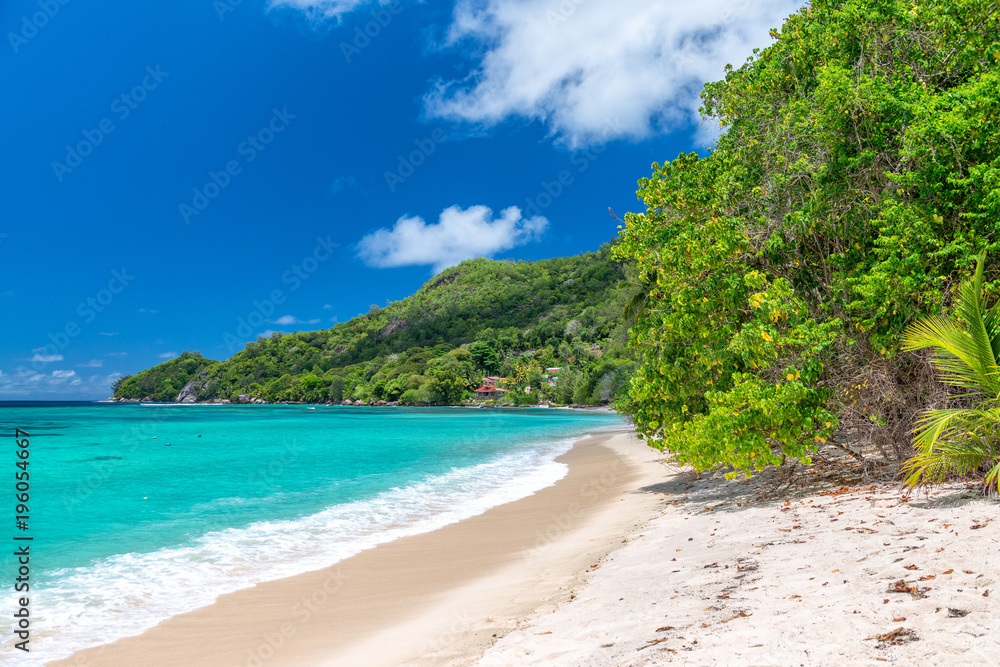 Amazing beach and vegetation in Seychelles