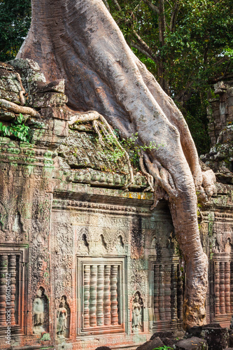 Preah Khan temple, Angkor area, Siem Reap, Cambodia photo