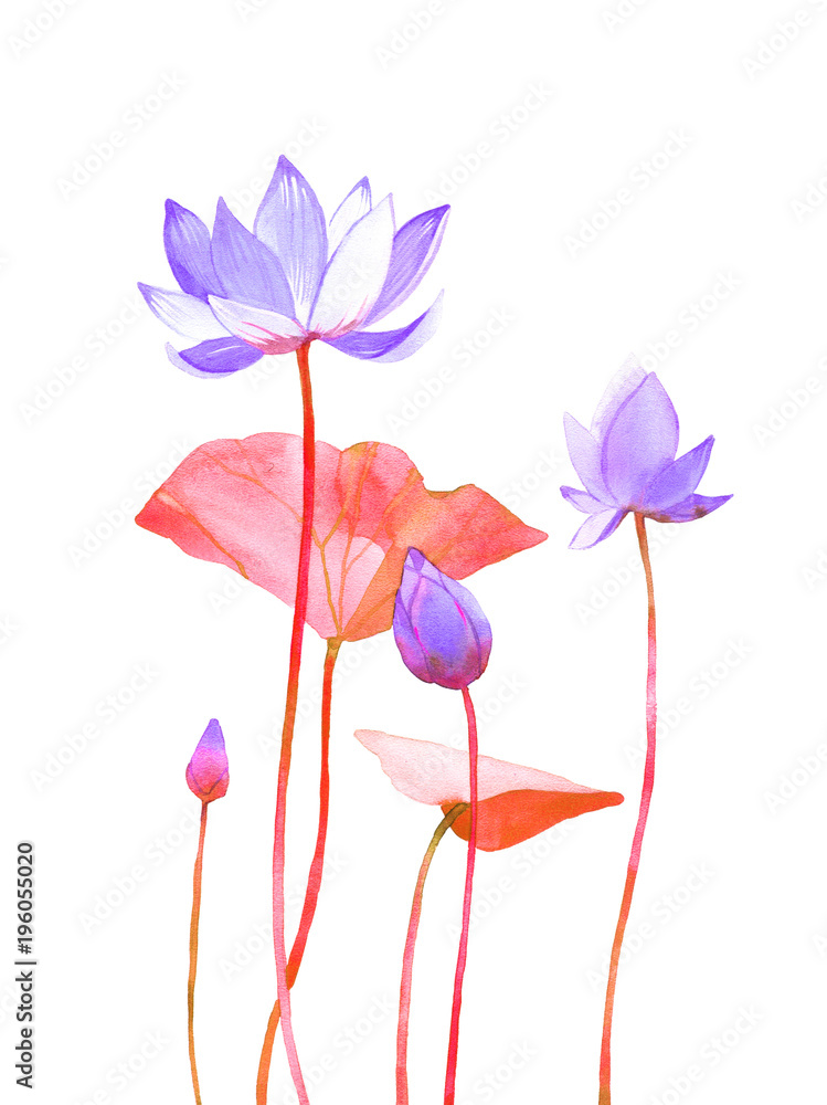 watercolor violet lotos illustration isolated on white background  - obrazy, fototapety, plakaty 
