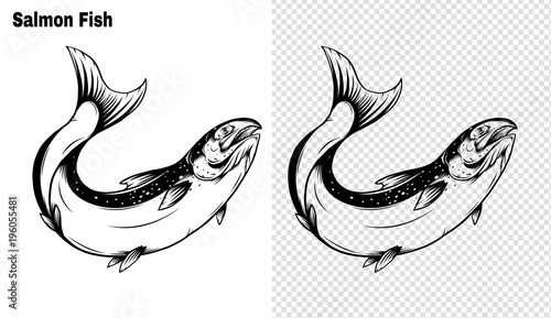 Salmon art highly detailed in line art style.Fish vector by hand drawing.Fish tattoo on white background.Black and white fish vector on white background.Salmon fish sketch for coloring book.