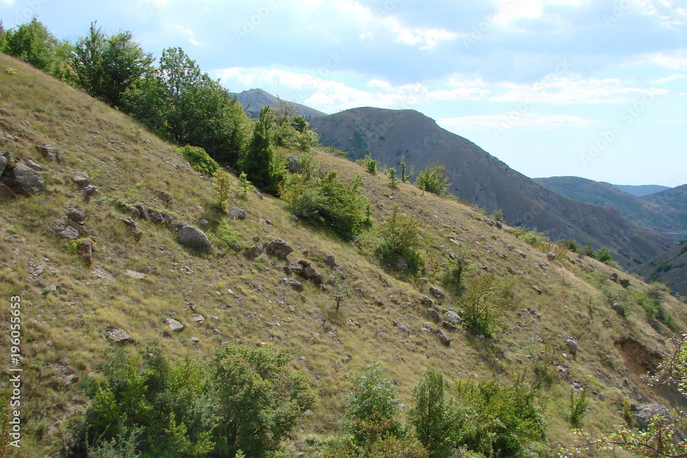 Naklejka premium the landscape of wild vegetation on the slopes of the Crimean mountains.