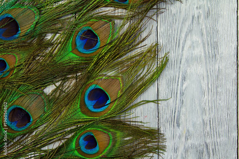 Fototapeta premium A peacock feather on wooden grey background