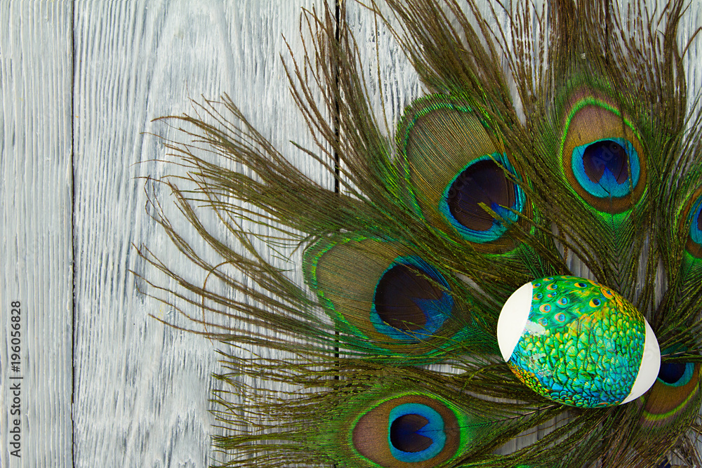 Fototapeta premium painted Easter egg on peacock feathers
