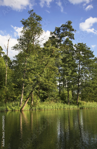 Rospuda river near Augustow. Poland photo