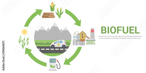 Biofuel Life Cycle, Biomass Ethanol From Corn, Sugarcane, Wood, Flat Design Vector Concept Illustration . Isolated on the White Background.