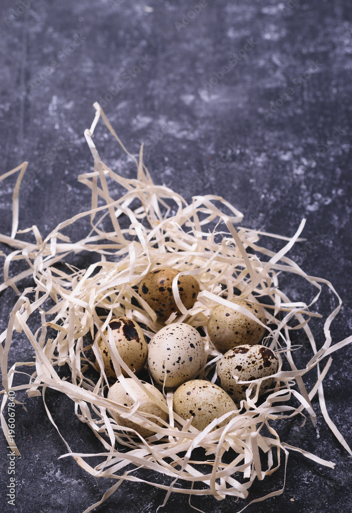 Obraz premium Quail eggs in nest
