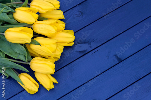 Fototapeta Naklejka Na Ścianę i Meble -  Blue tulip flowers on wooden backdrop, holiday postcard. Spring background. Greeting card for Valentine's Day, Woman's Day.