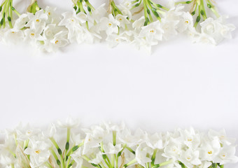Foto auf Acrylglas Narzisse Spring styled stock photo. Easter concept. Feminine desktop scene. Frame of narcissus, daffodil flowers on white table background. Empty space. Flat lay, top view.  © tabitazn