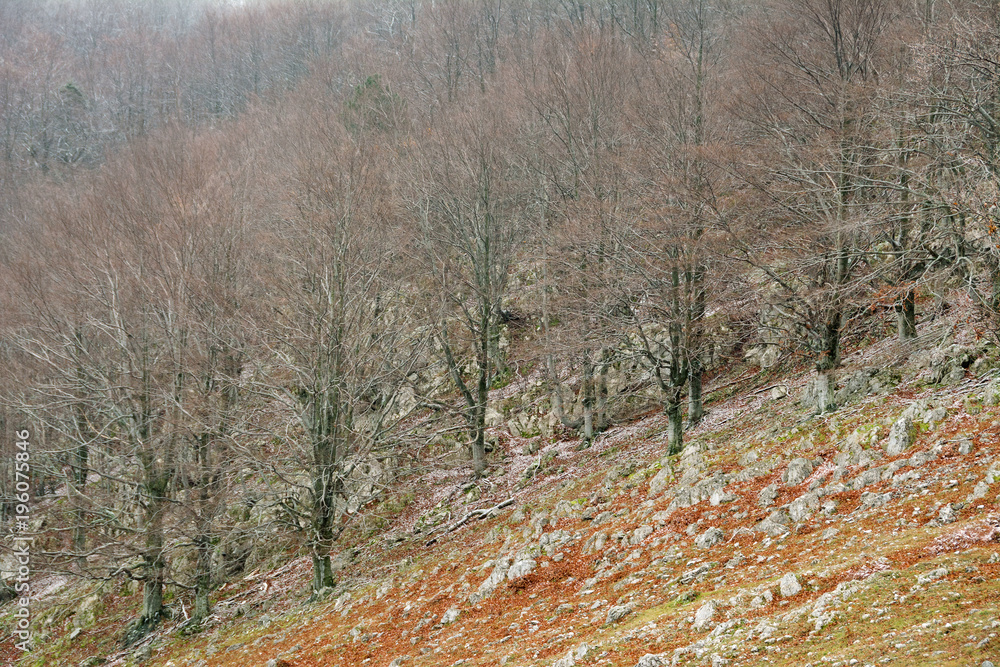 Fall landscape in Mehedinti Mountains, Romania, Europe Fall landscape in Mehedinti Mountains, Romania, Europe