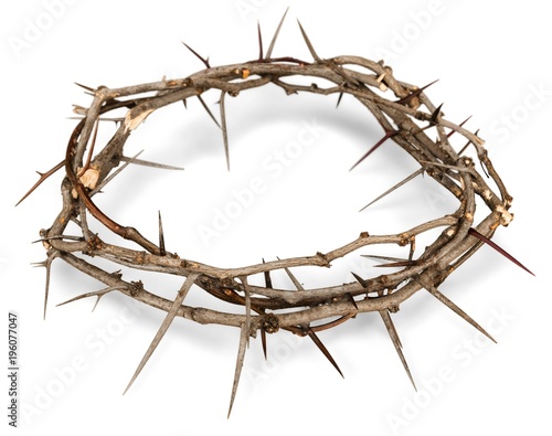 Canvas Print Crown of Thorns