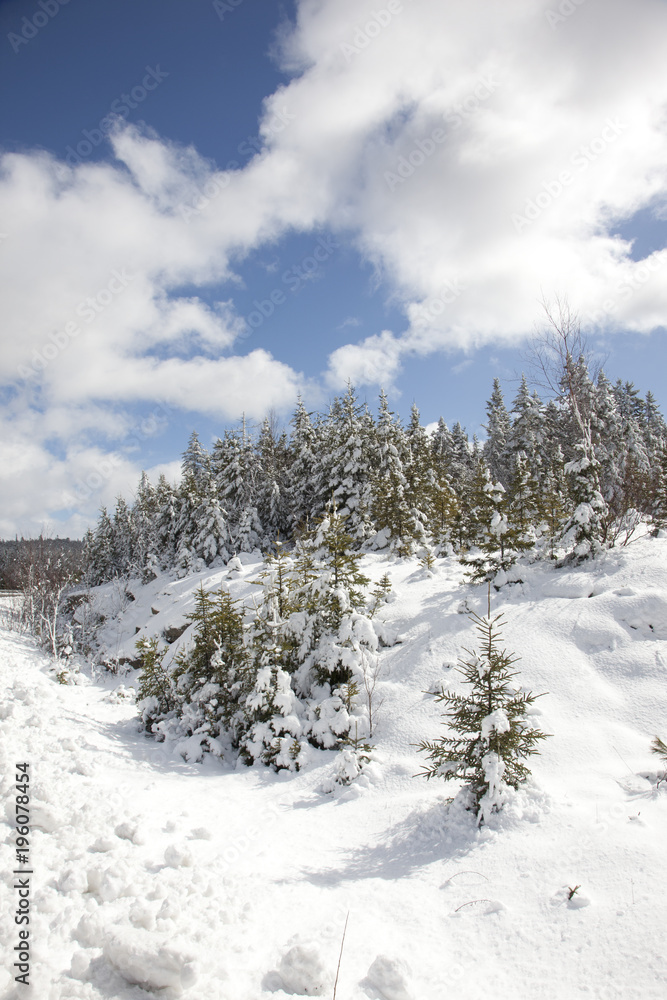 winter wonderland in canada