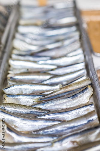 Closeup of many anchovies sardines small raw scales skin fish in seafood market shop display tray