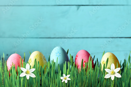 Painted Easter eggs in a green grass on a meadow and flowers.