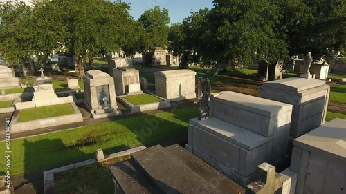 Towards Two Old Trees in Large Lush New Orleans Cemetery photo