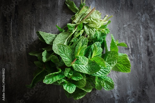 Fresh Mint Leaves on dark moody background, selective focus