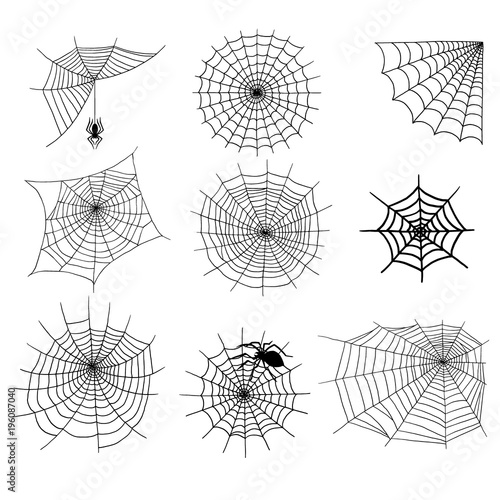 Spiders vector web silhouette spooky spider nature halloween element cobweb decoration fear spooky net.