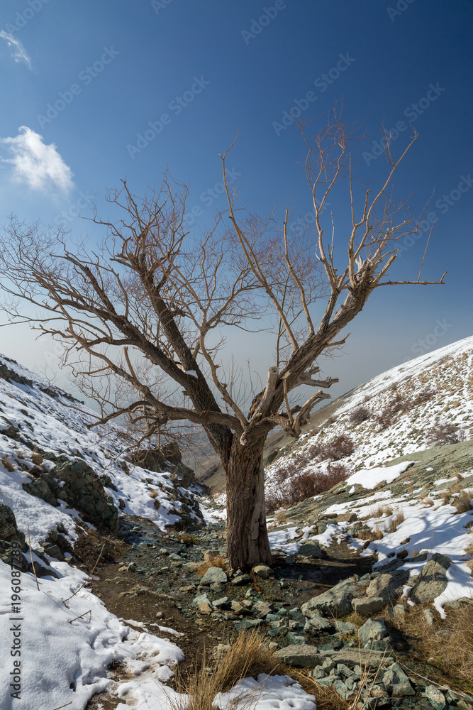 Obraz premium Hiking in Tochal, Tehran, Iran