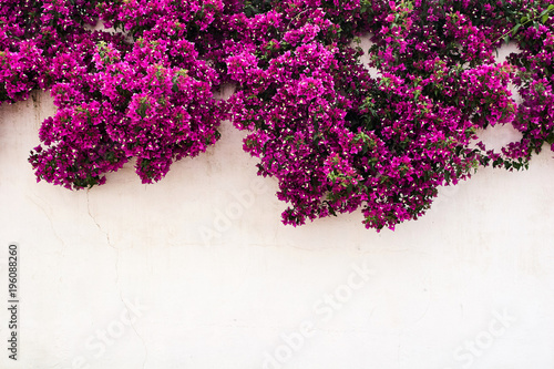 Street in the medieval portuguese city. Portugal, Obidos