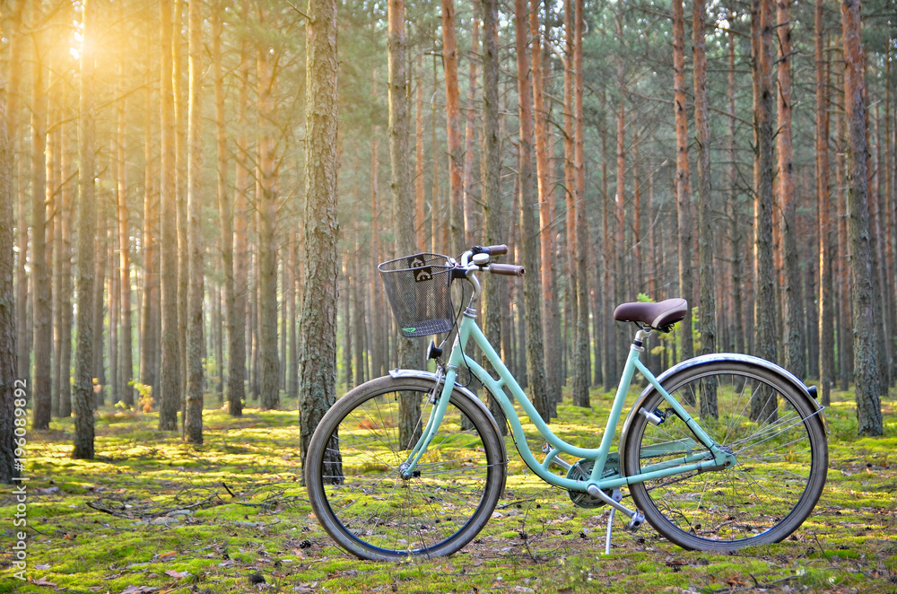 Vintage bicycle with a basket in a sunny spring forest. Copy space.