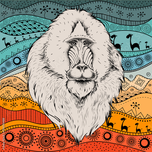 Fototapeta Ręka remis Mandrill portra na afrykańskiej ręki remisu ethno wzorze, plemienny tło. Piękna czarna kobieta. Widok profilu. Ilustracji wektorowych