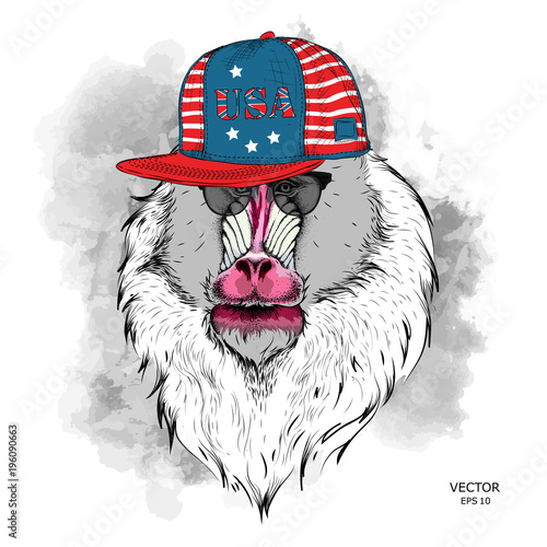 Illustration of Mandrill in the glasses, headphones and in hip-hop hat with print of USA. Vector illustration.
 photo