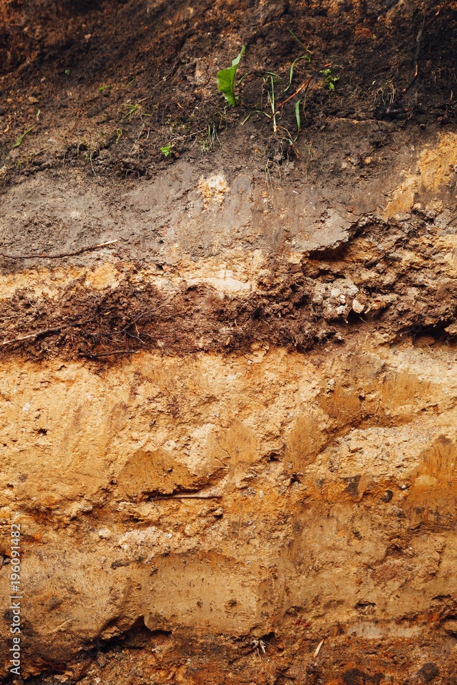 Fototapeta premium ground in cross section