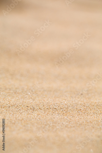 in the coastline beach abstract sand