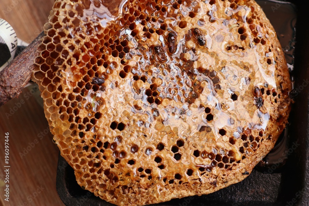 Sweet honeycomb and honey