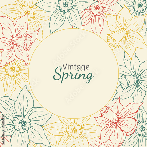 Daffodil vintage round frame. Hand drawn spring flower illustration