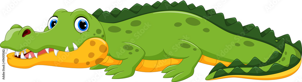 Fototapeta premium Ilustracja wektorowa kreskówka krokodyl na białym tle