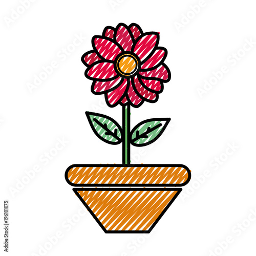 grated nice flower with petals and leaves inside plantpot