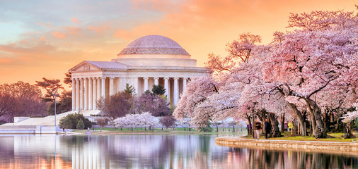 Fototapete Nordamerika Jefferson Memorial während des Kirschblütenfestes  © f11photo