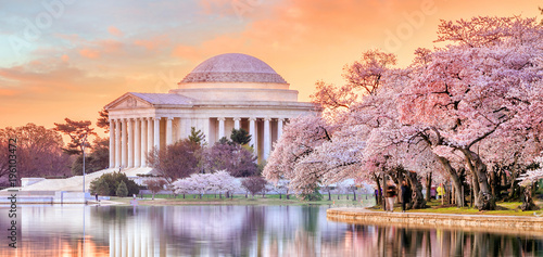 Платно Jefferson Memorial during the Cherry Blossom Festival