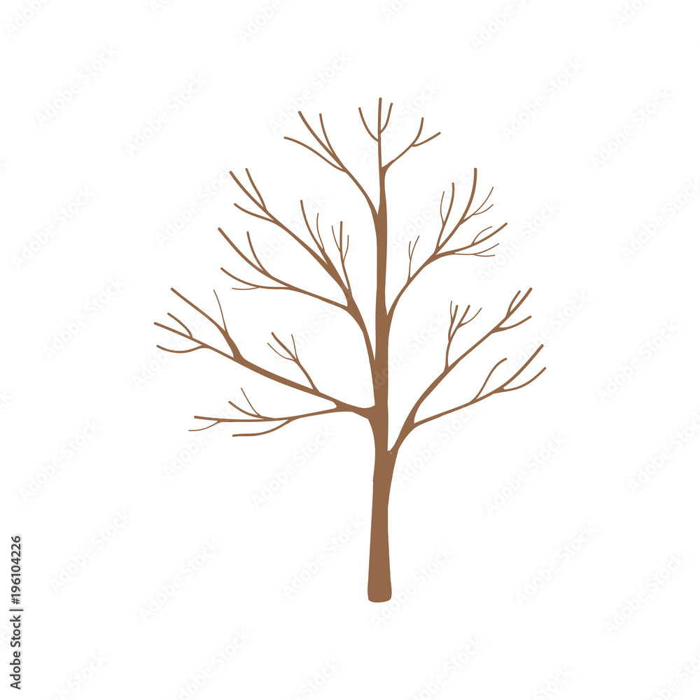 Fototapeta premium Illustration of tree