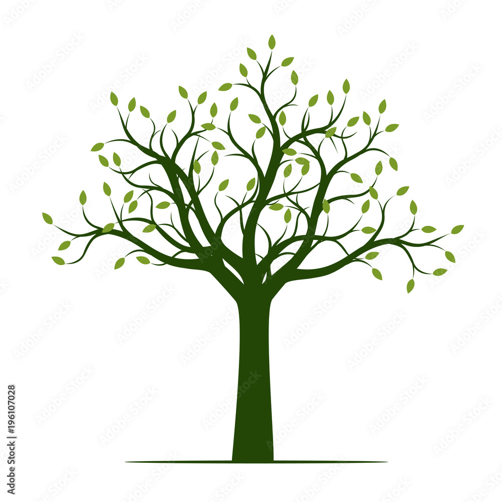 Green Tree with Leaves. Vector Illustration and graphic element. Green Tree with Leaves. Vector Illustration and graphic element.